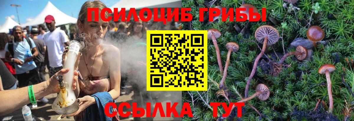 Галлюциногенные грибы GOLDEN TEACHER  Псилоцибиновые грибы ЛСД  Чехов  Вход с VPN 